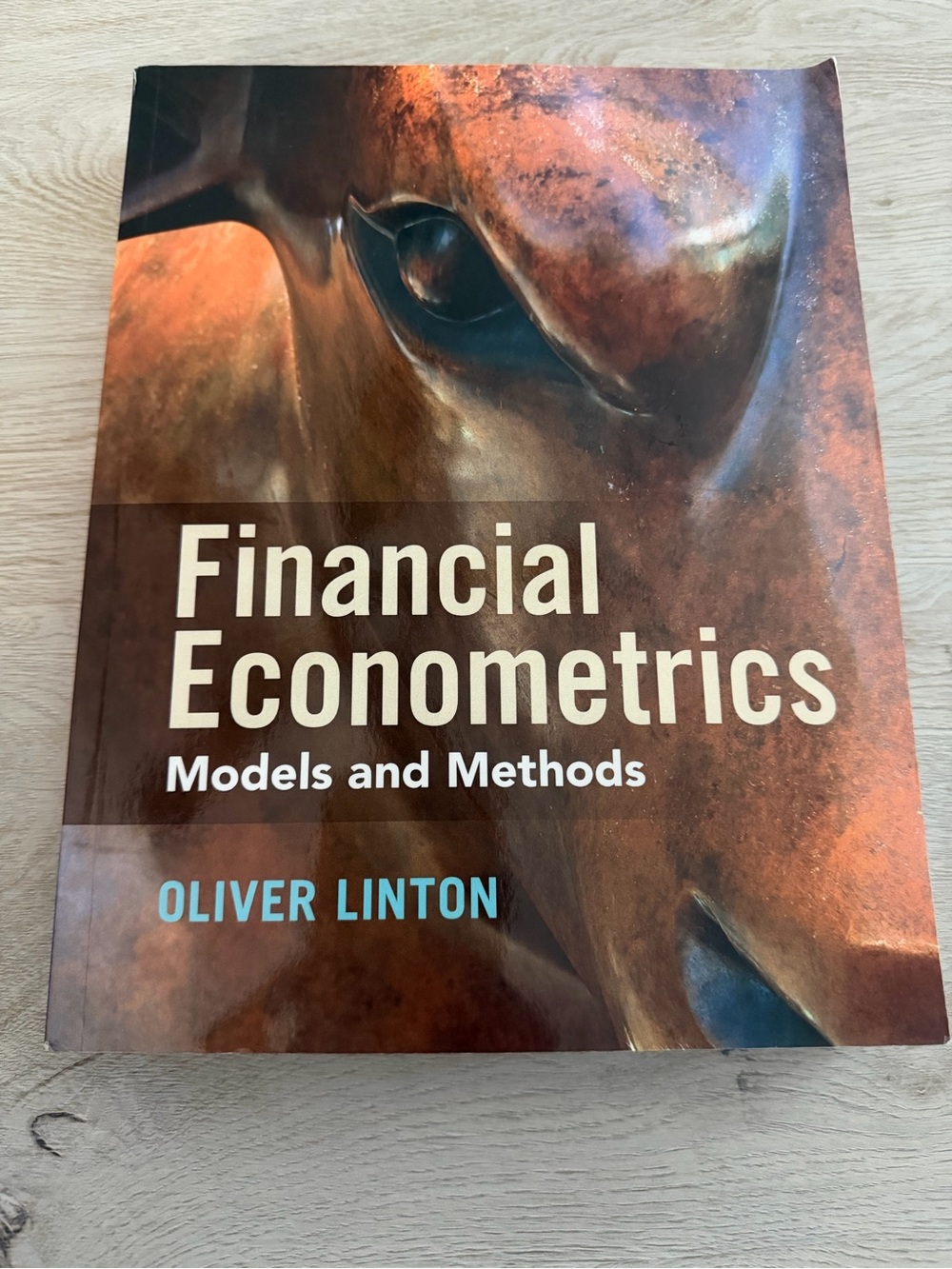 Financial Econometrics: Models and Methods by Oliver Linton - Rust/Bronze Cover